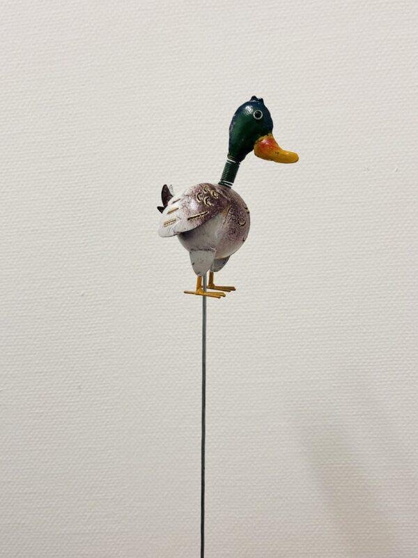 Canard à piquer