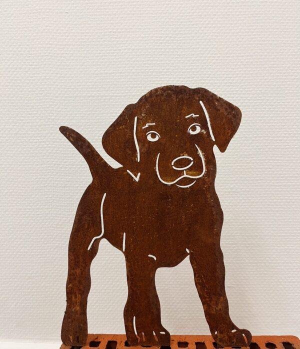 Chien en acier Corten