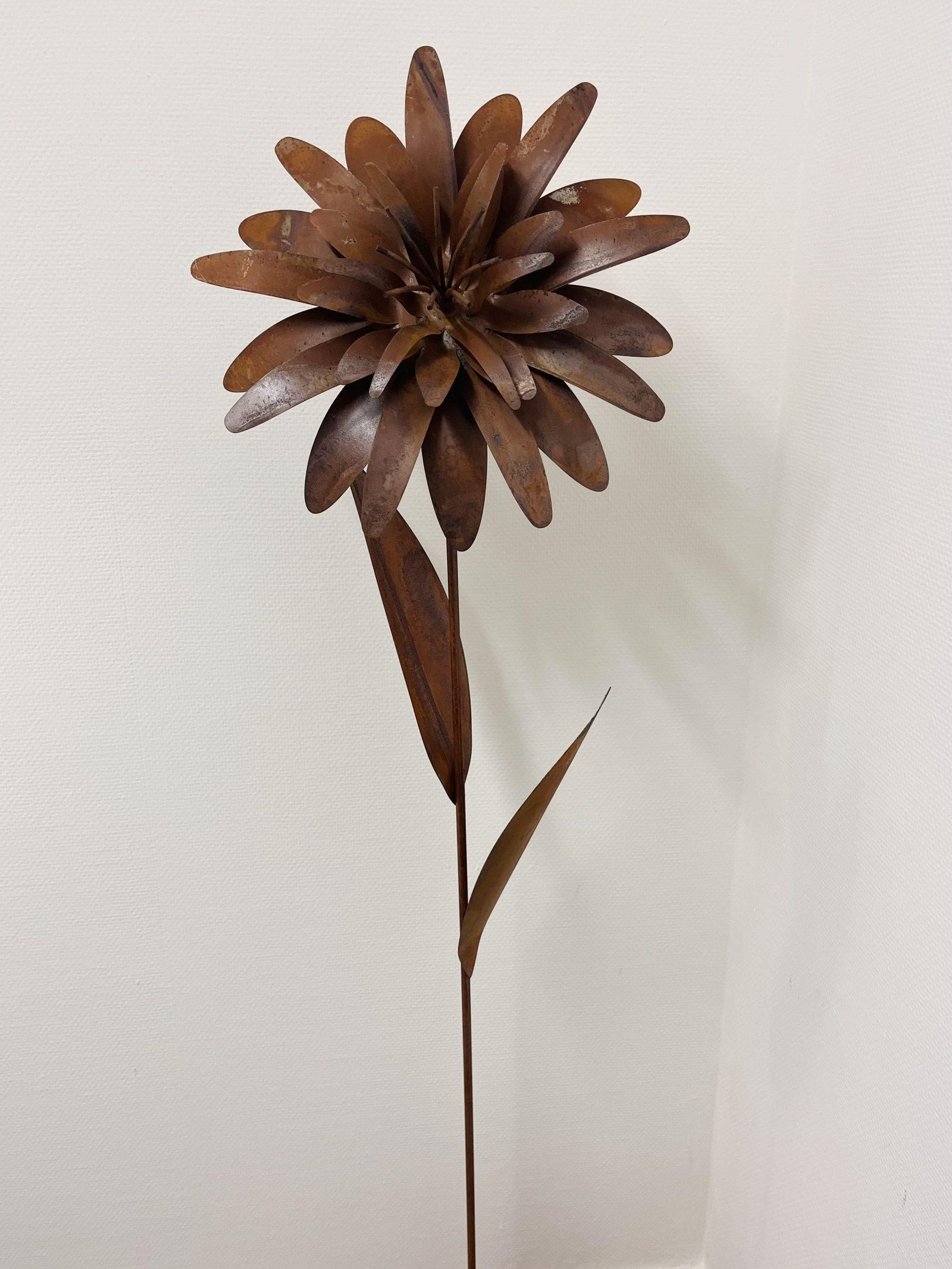 Grande fleur dalhia en acier Corten