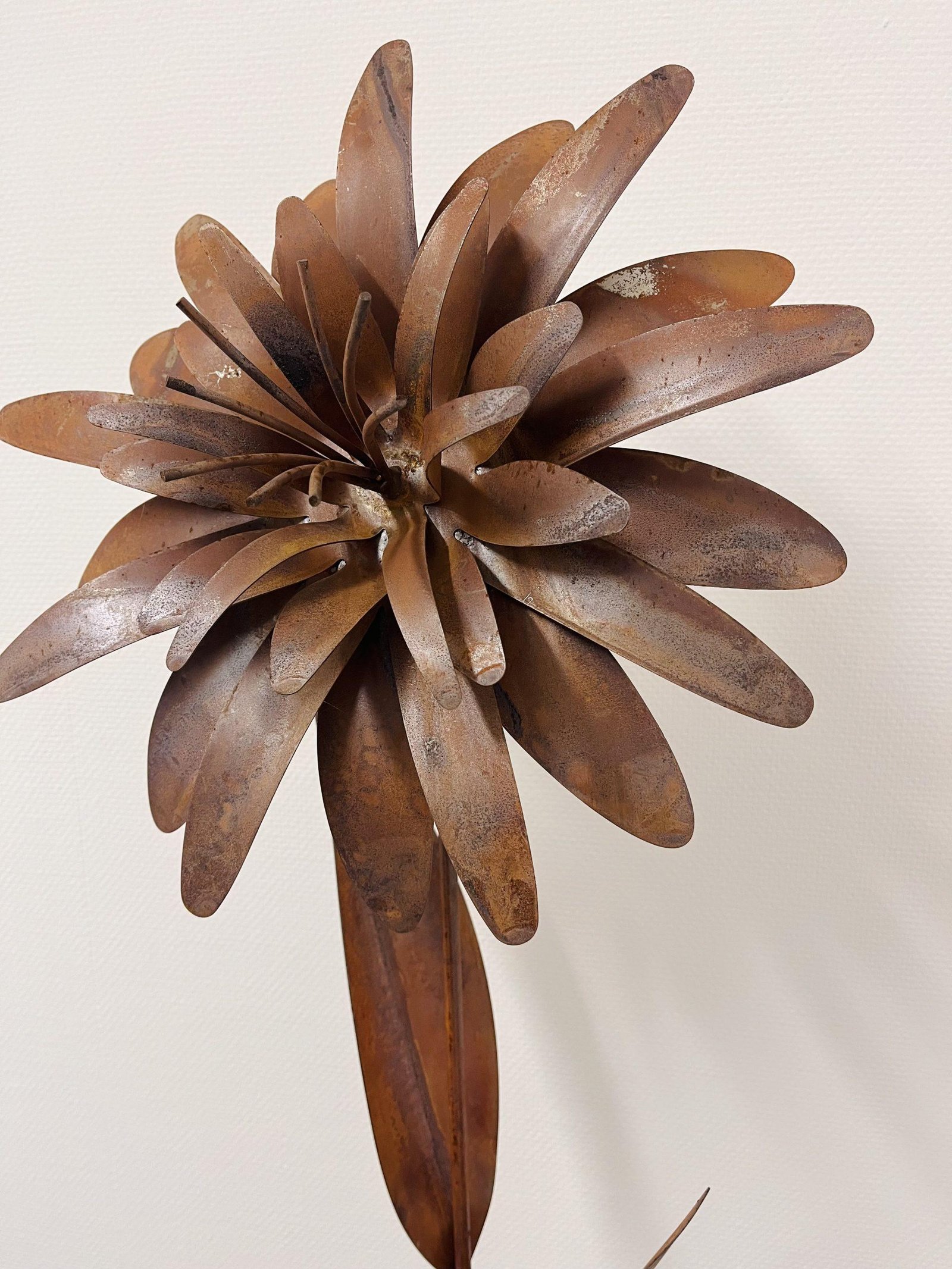 Grande fleur dalhia en acier Corten