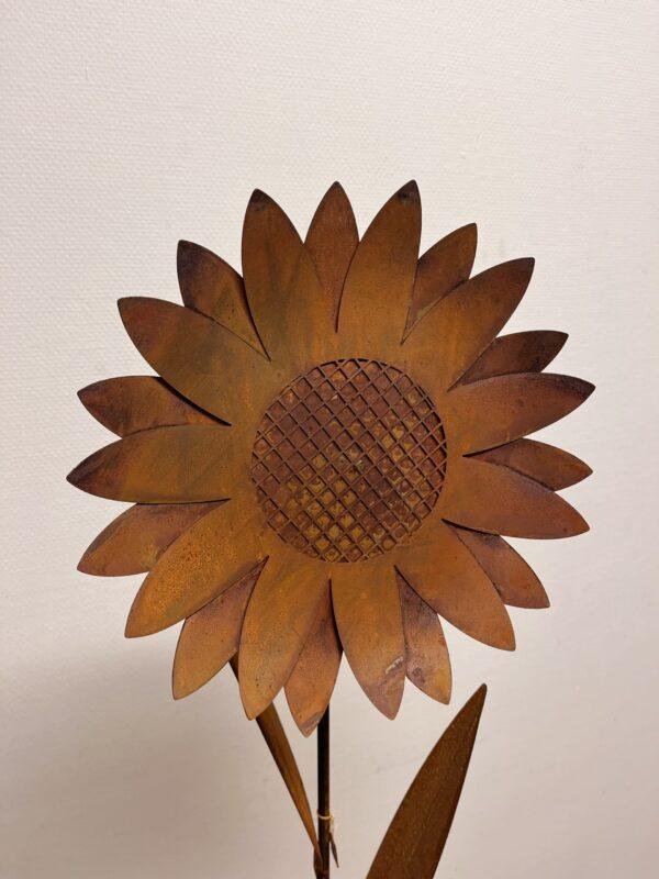 Grand tournesol