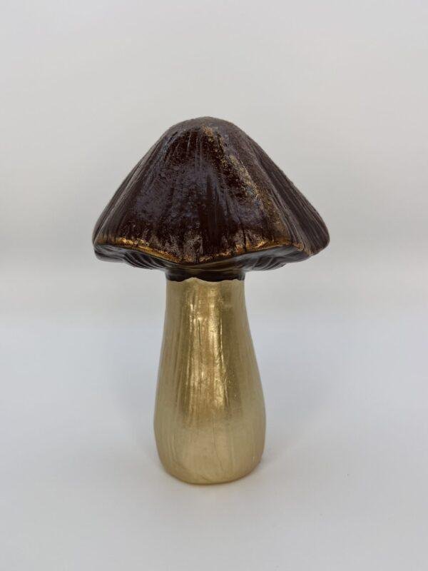 Grand champignon brun