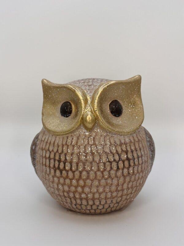 Hibou doré