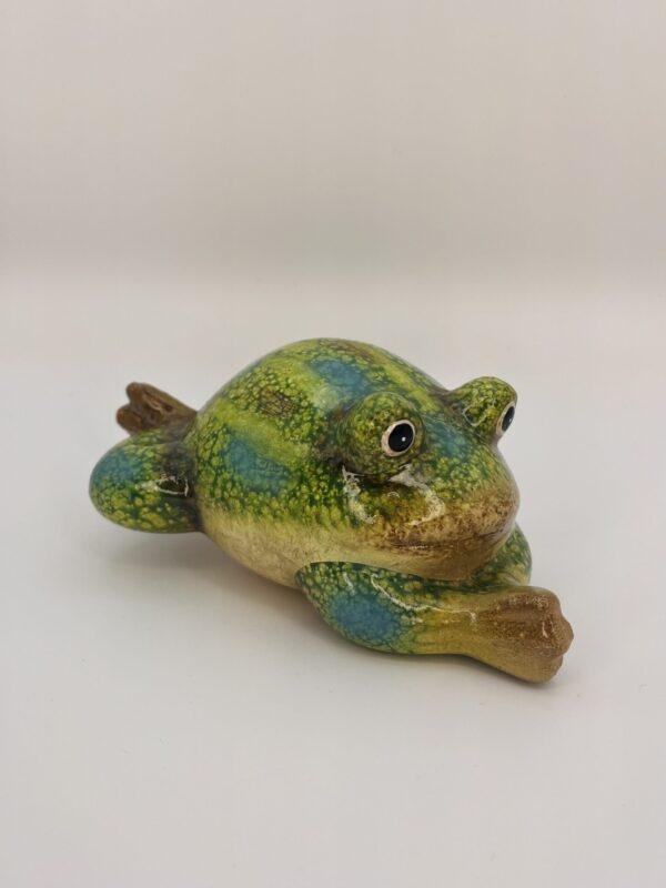 Grenouille flottante qui nage